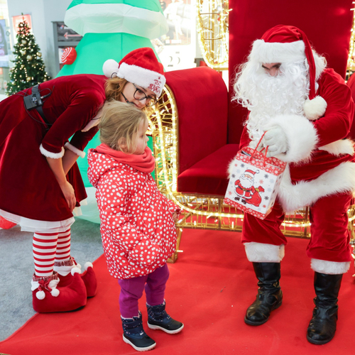 Impreza Mikołajkowa lub Choinkowa oraz Karnawałowa